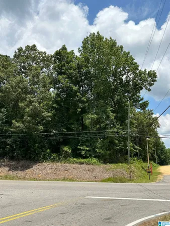 $65,000 | 0 Highway 69, Jasper, AL 35504