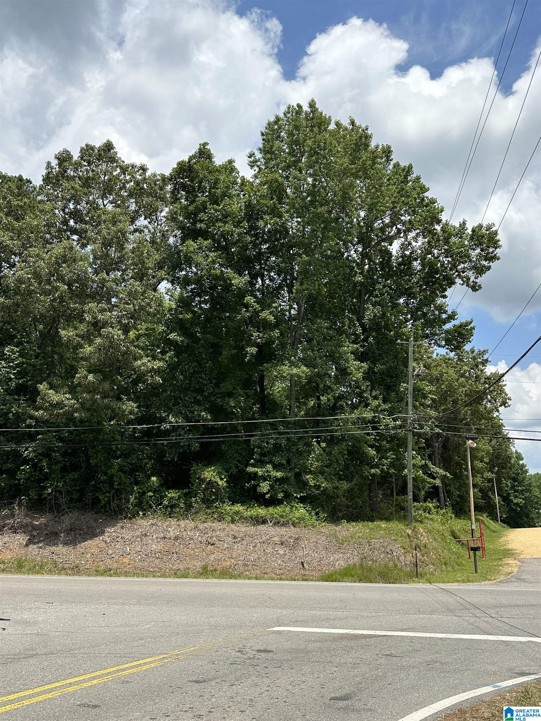 0 Highway 69 Jasper, AL 35504 - Photo 1 of 1