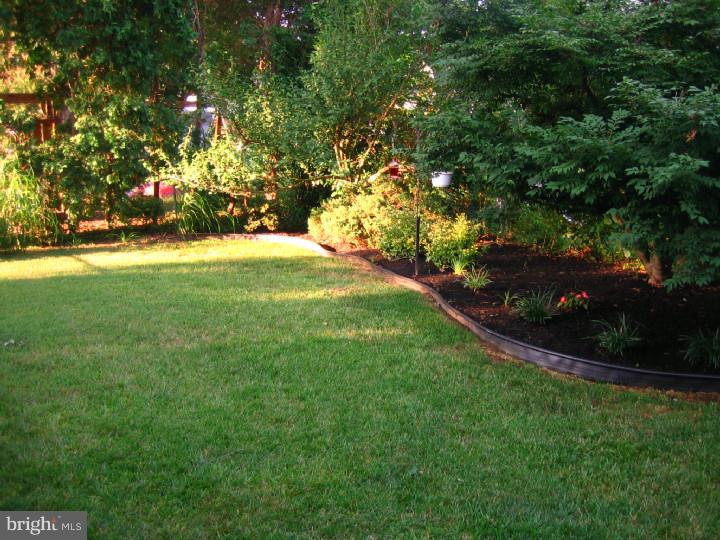 512 Brookhaven Road Wallingford, PA 19086 - Photo 8 of 23 Exterior Back