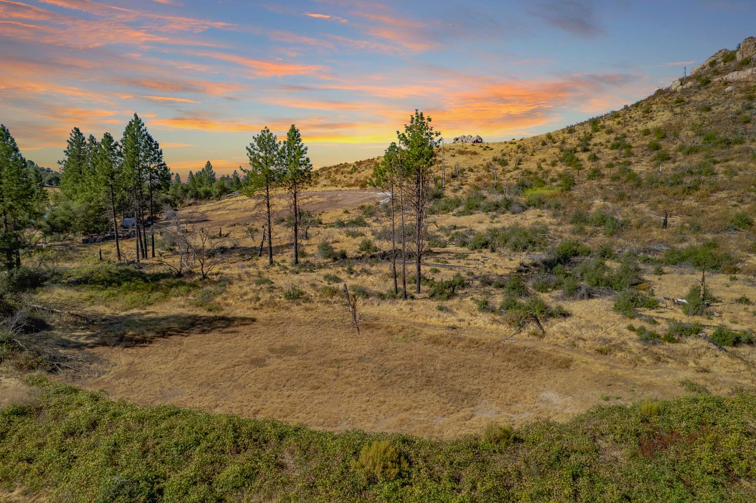a view of a large yard with lots of green space