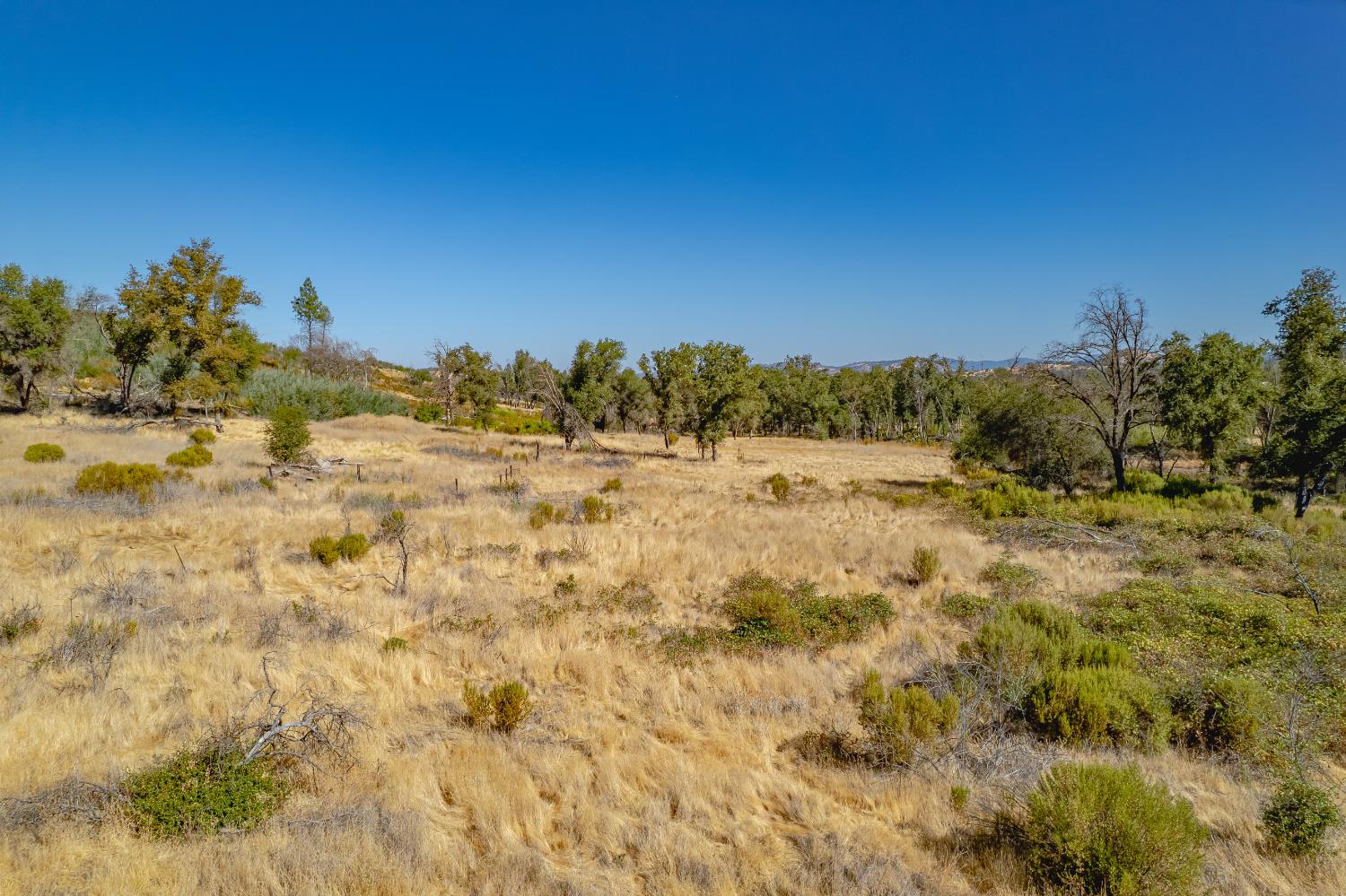 11923 Loma Rica Road Marysville, CA 95901 - Photo 13 of 27 a view of mountain view with trees