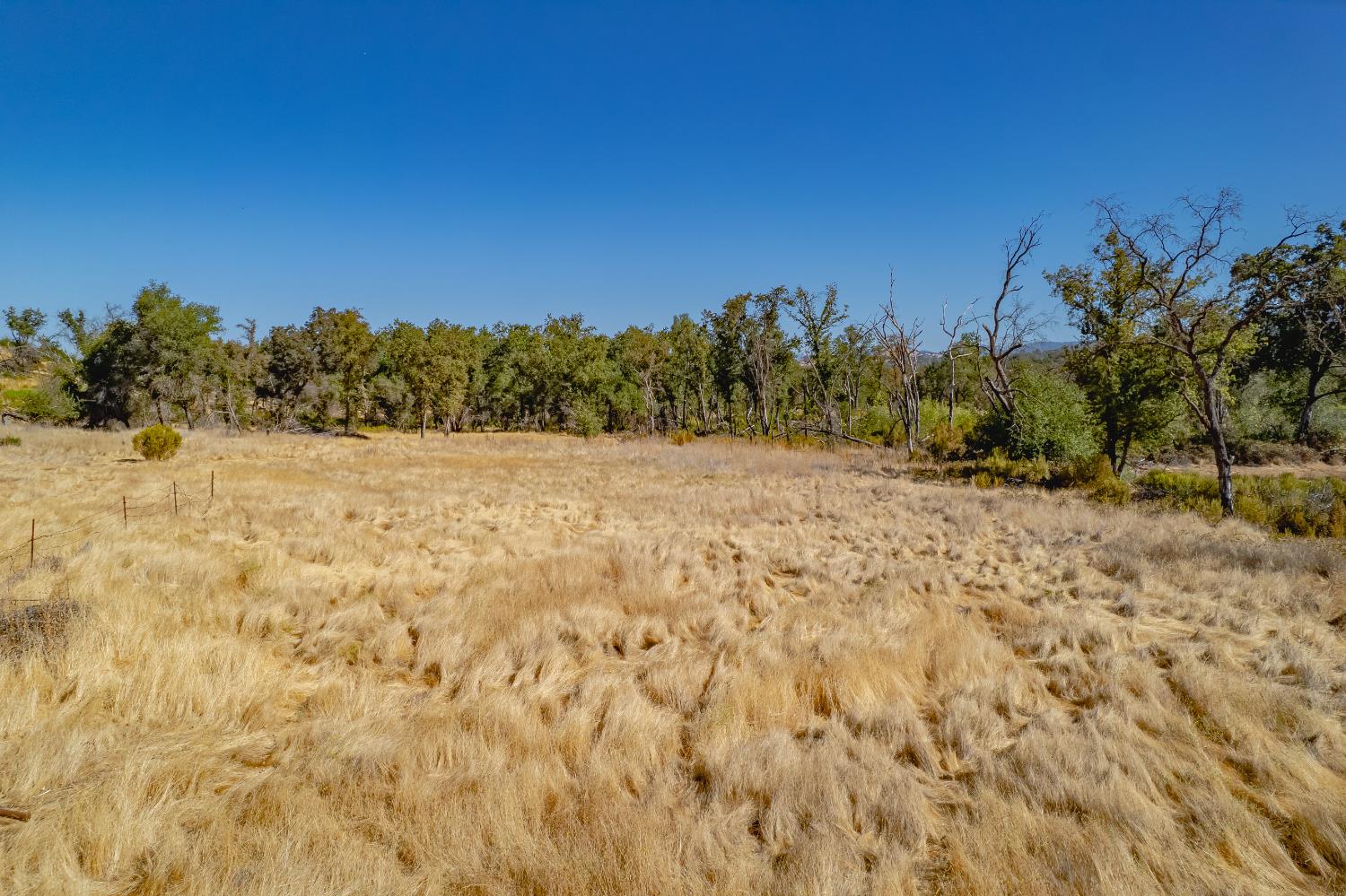 11923 Loma Rica Road Marysville, CA 95901 - Photo 15 of 27 a view of a yard with a tree
