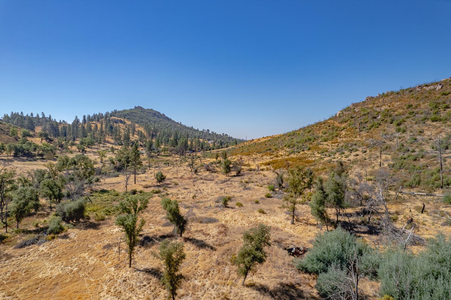 11923 Loma Rica Road Marysville, CA 95901 - Photo 18 of 27 a view of a large building with mountains in the background