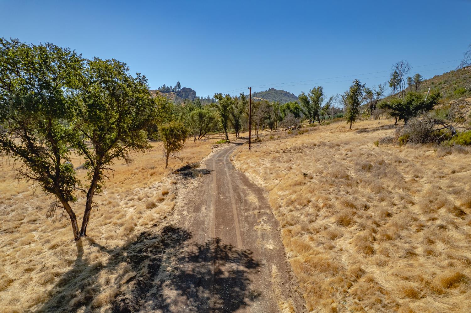 11923 Loma Rica Road Marysville, CA 95901 - Photo 27 of 27 a view of a yard with trees