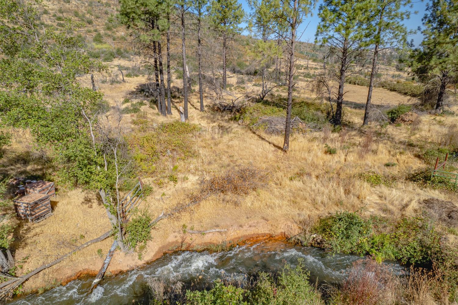 11923 Loma Rica Road Marysville, CA 95901 - Photo 6 of 27 a view of yard
