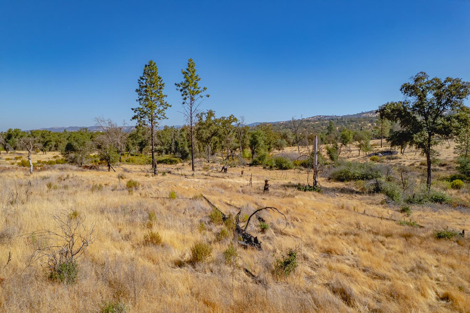 11923 Loma Rica Road Marysville, CA 95901 - Photo 10 of 27