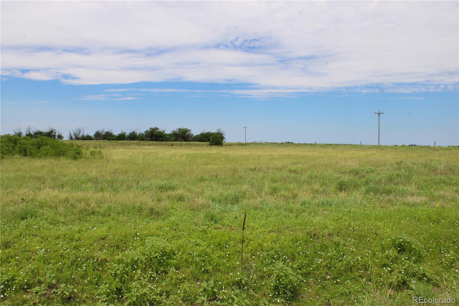 1901 County Road East Joes, CO 80822 - Photo 18 of 36