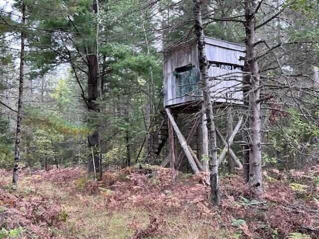 3025 Bean Creek Road Lachine, MI 49753 - Photo 20 of 32 Gallery Image 20
