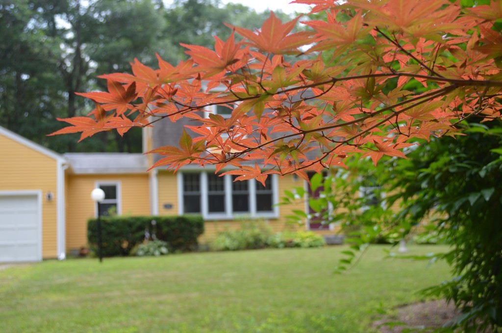 321 Hubbardston Road Princeton, MA 01541 - Photo 1 of 18 a front view of a house with a garden