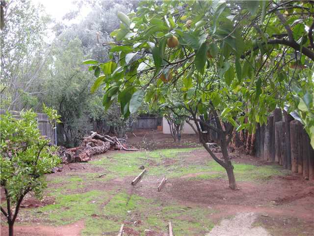 3745 Andreen Street Spring Valley, CA 91977 - Photo 23 of 25 Grounds to explore, plant, garden your choice. This is a seperate area behind pool deck.