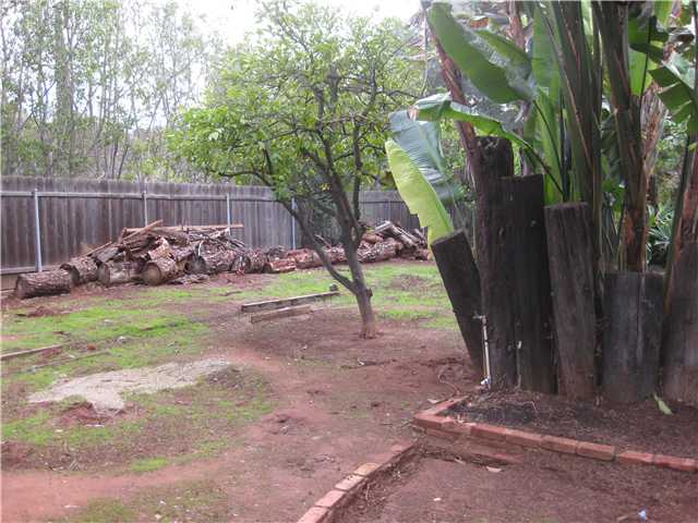3745 Andreen Street Spring Valley, CA 91977 - Photo 24 of 25 More land, more planting, ,more dreaming.
