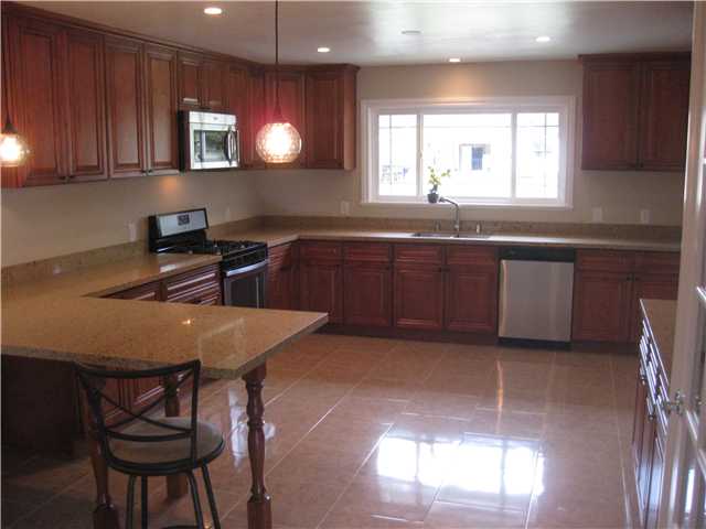 3745 Andreen Street Spring Valley, CA 91977 - Photo 6 of 25 Lots of new stuff here ! lighting, window, appliances, counter top !