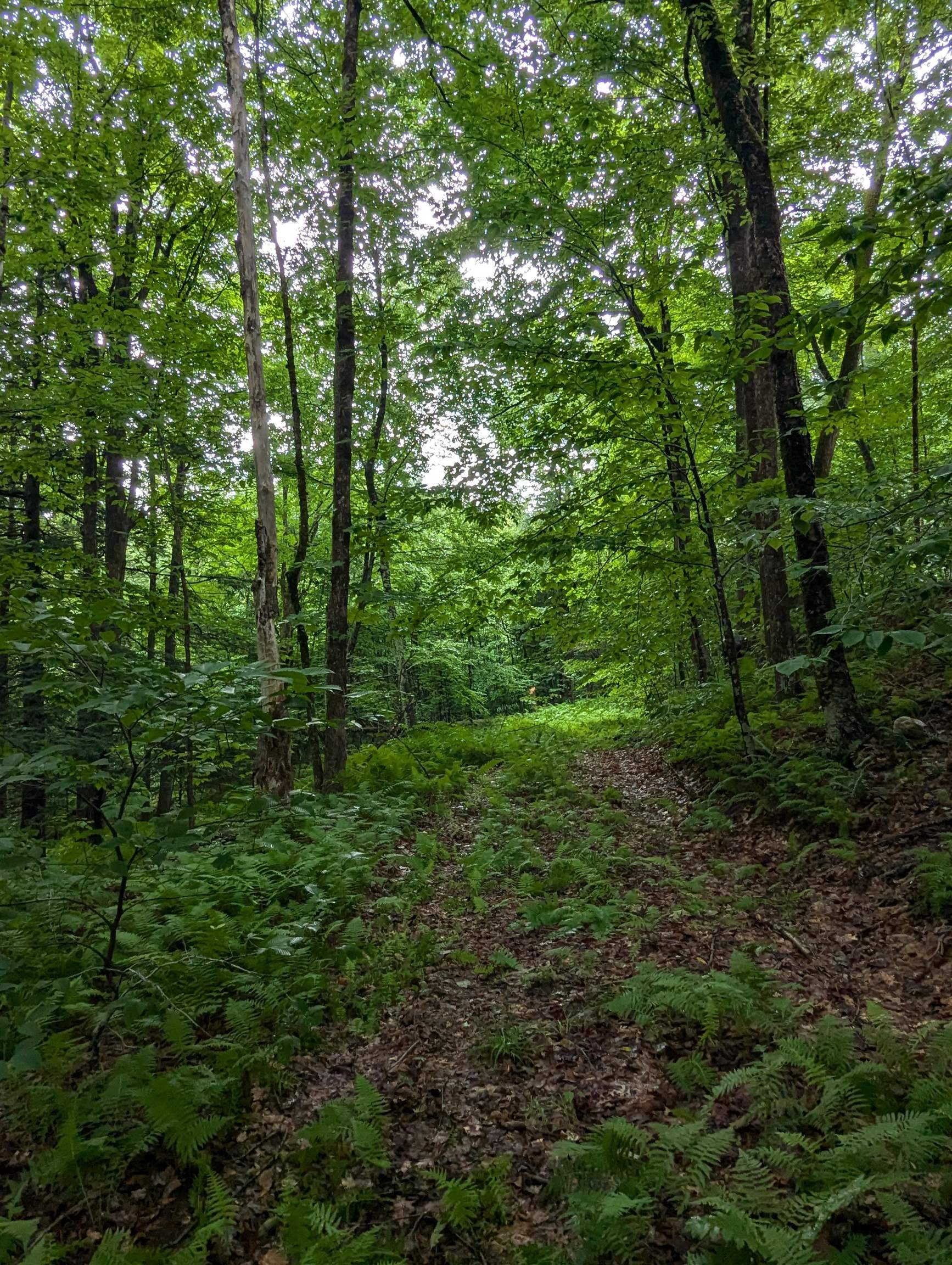 0 Dover Road South Newfane, VT 05351 - Photo 5 of 15