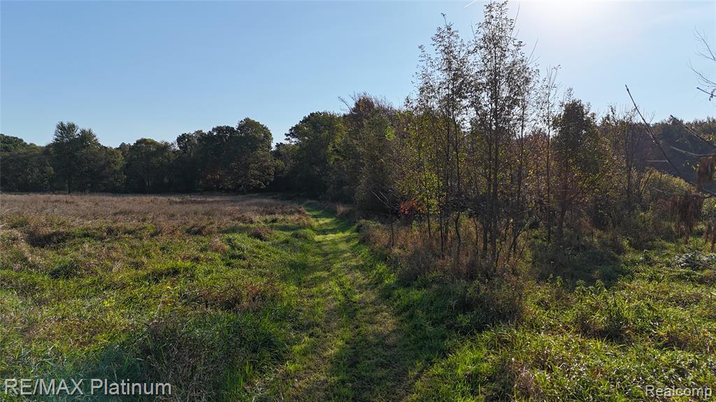 0 Chapman Road Stockbridge, MI 49285 - Photo 19 of 20