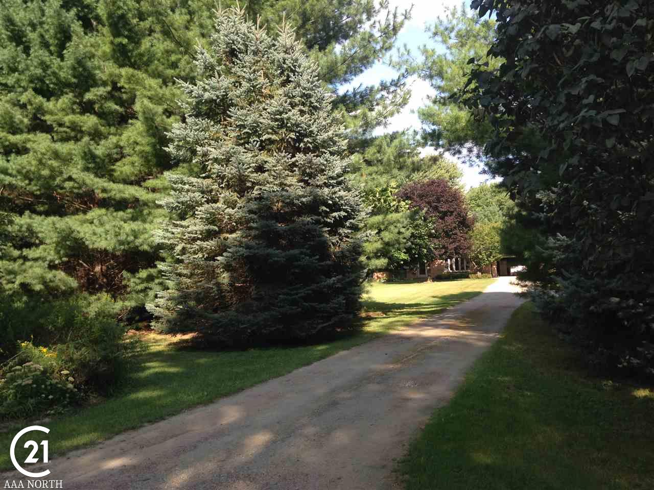 79800 McFadden Road Armada, MI 48005 - Photo 11 of 72 31345624-10.JPG