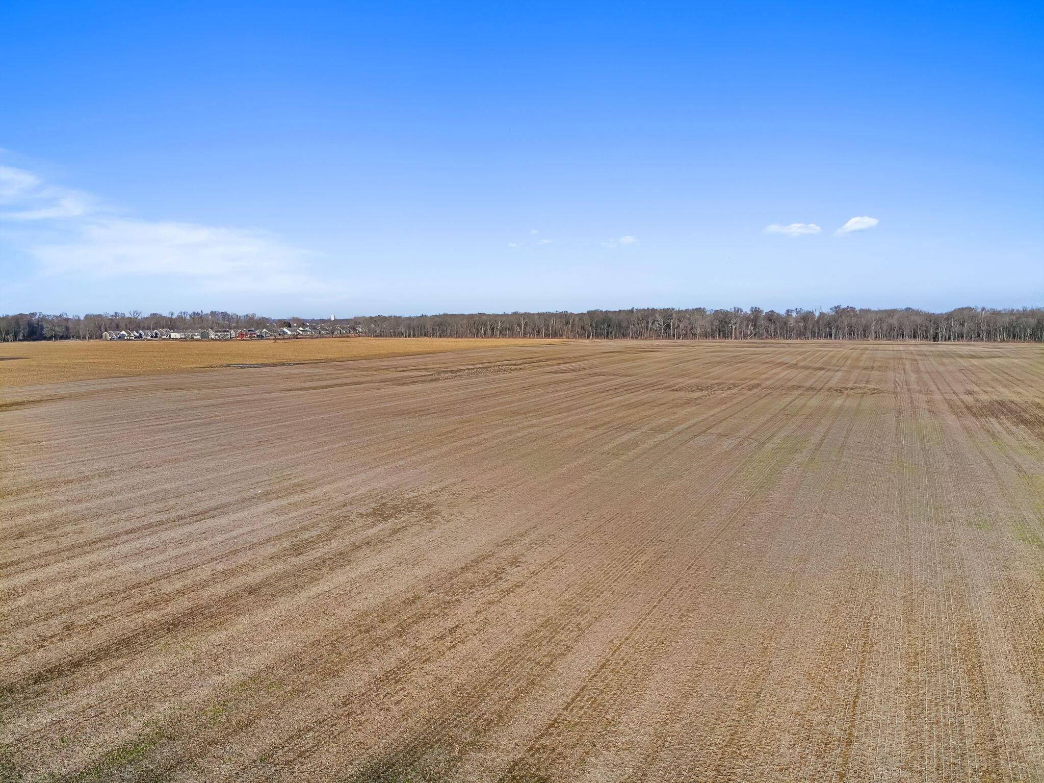 10-web-or-mls-2948-walker-rd
