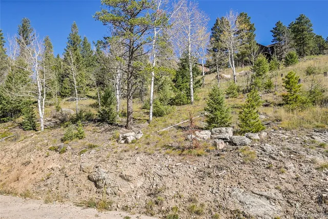 a view of a yard with a tree