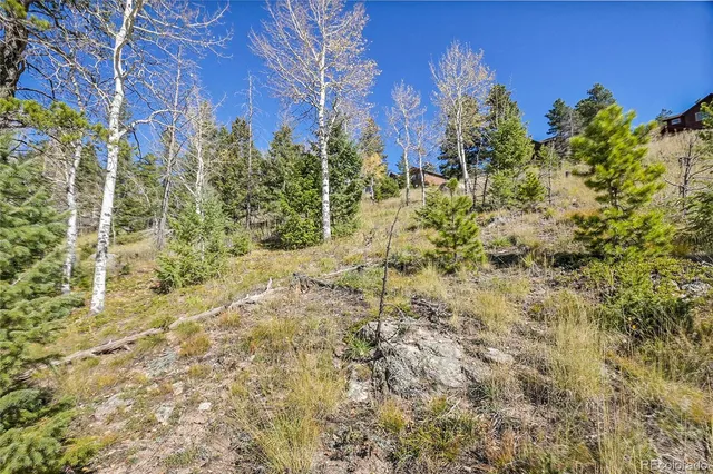 a view of a yard with plants and a building