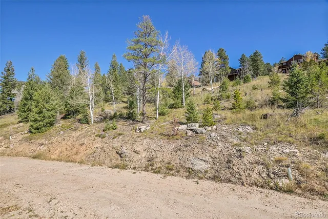 a view of a yard with a tree