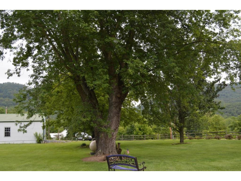 3501 Reservoir Road Kingsport, TN 37660 - Photo 16 of 17 Side yard