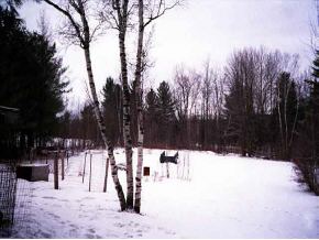 37 Ski Valley Road Waitsfield, VT 05673 - Photo 1 of 3 Gallery Image 1