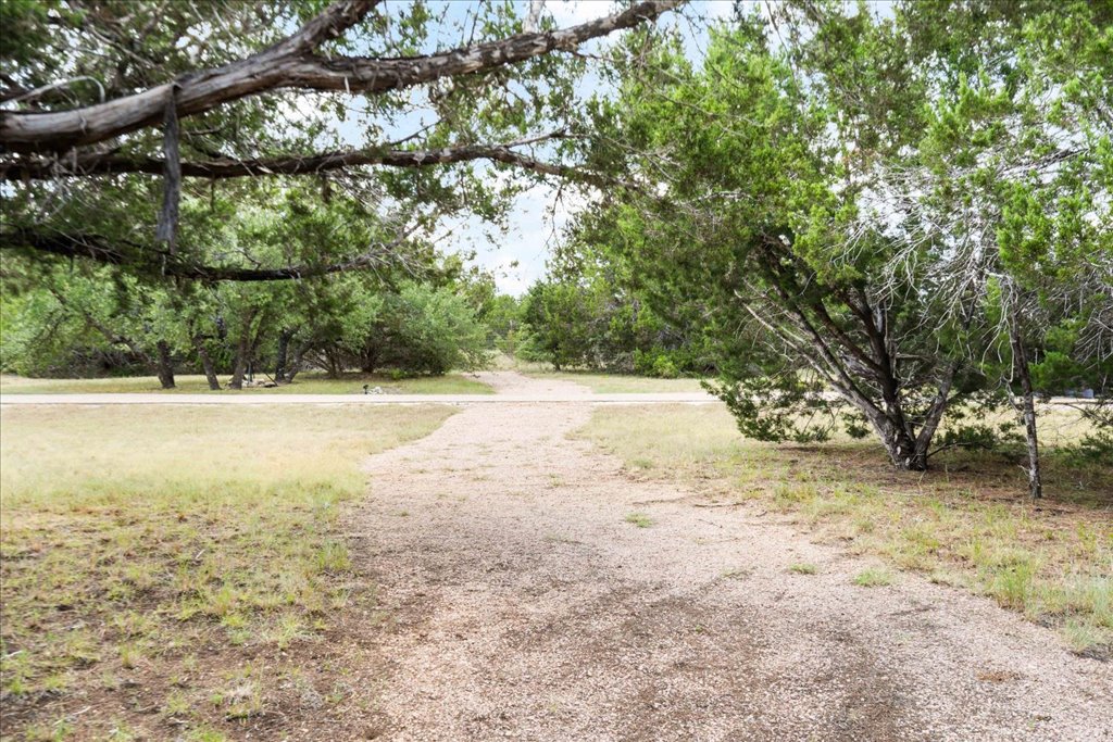 1525 Springlake Drive Dripping Springs, TX 78620 - Photo 35 of 38 a view of yard with tree