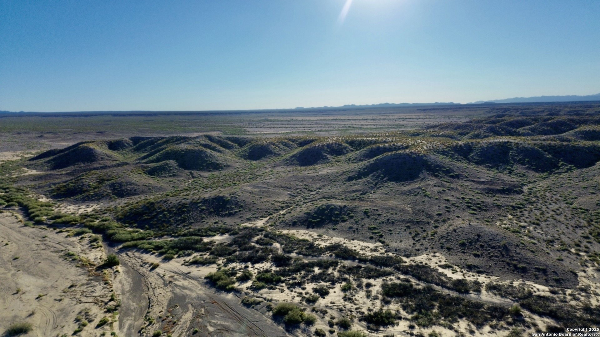 Tbd Tbd Presidio, TX 79845 - Photo 7 of 16 a view of a dry yard with wooden floor