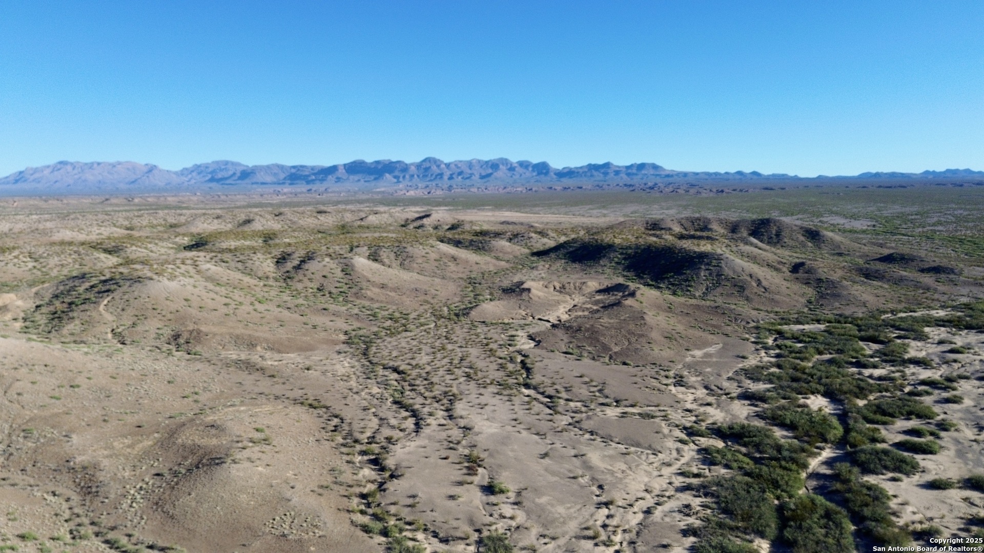 Tbd Tbd Presidio, TX 79845 - Photo 9 of 16 a view of a large mountain with lots of trees in the background