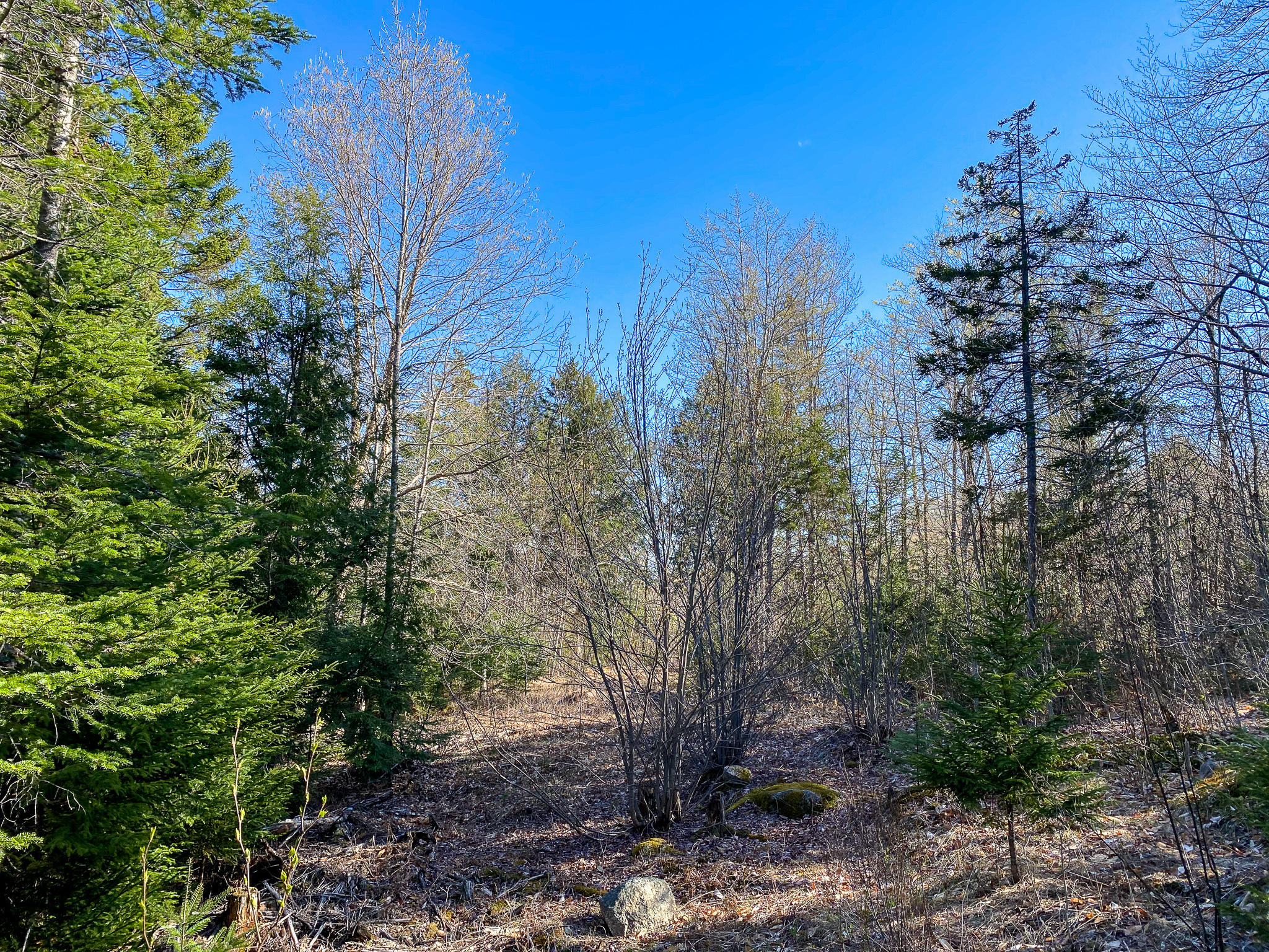 1510 Otis Road Ellsworth, ME 04605 - Photo 19 of 20 IMG_3166