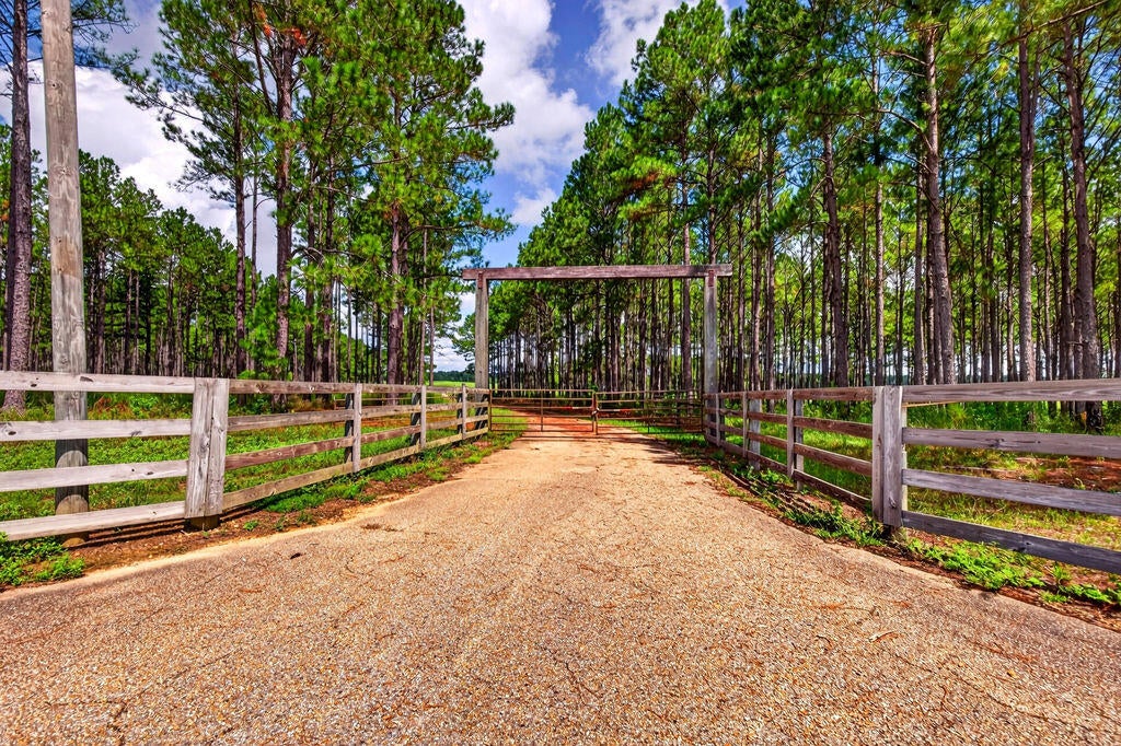 552 Yawn School Road Lumberton, MS 39455 - Photo 20 of 36 Gallery Image 20