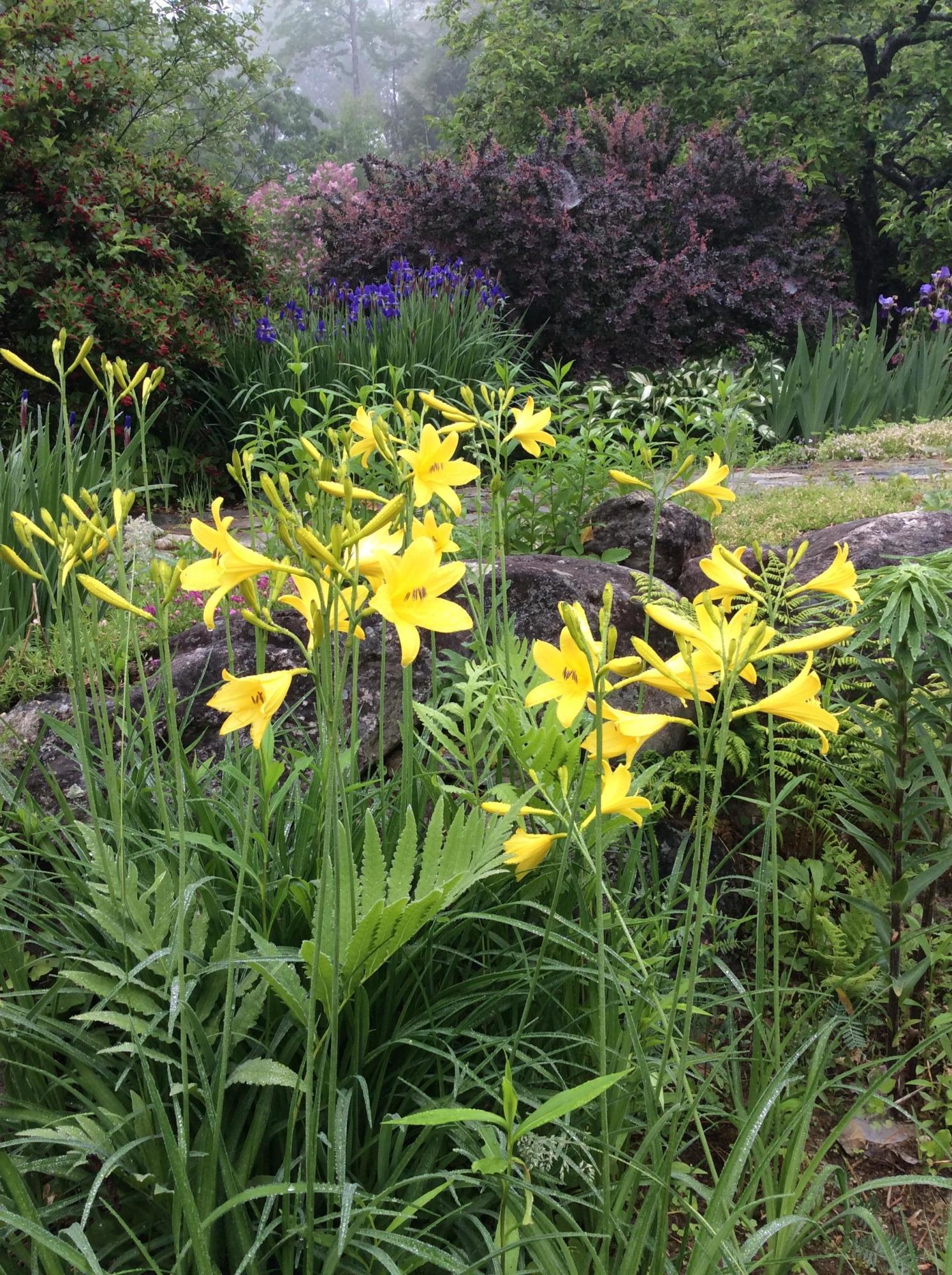 255 Dunn Road Norway, ME 04268 - Photo 38 of 46 Gardens