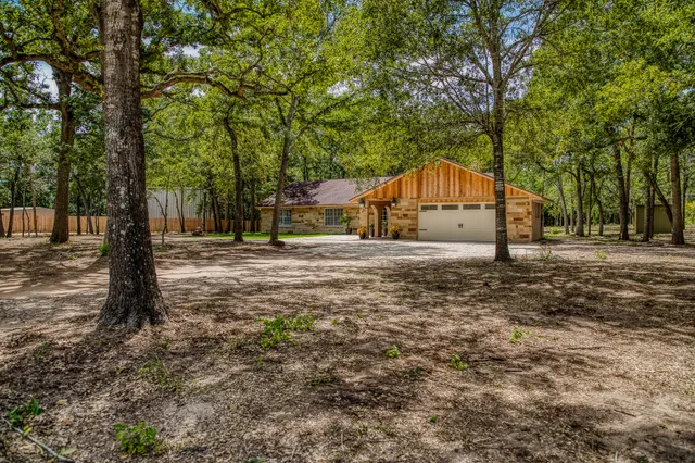 a view of large trees with a big yard