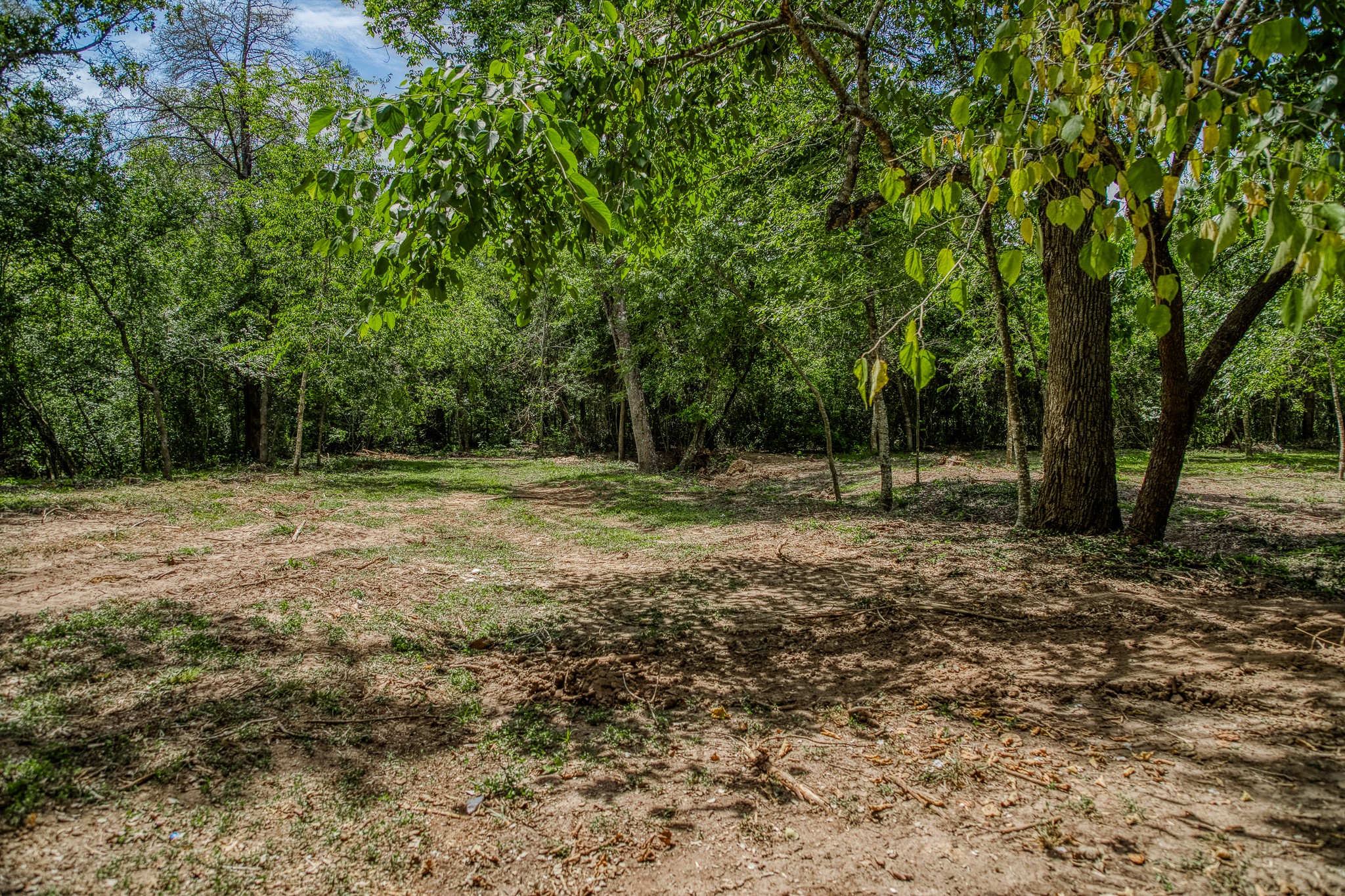 5504 Hillside Lane Brenham, TX 77833 - Photo 43 of 47 a view of outdoor space with trees