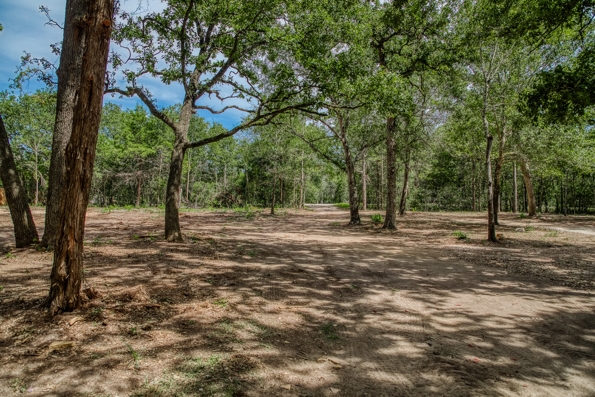 5504 Hillside Lane Brenham, TX 77833 - Photo 46 of 47 a view of outdoor space with trees