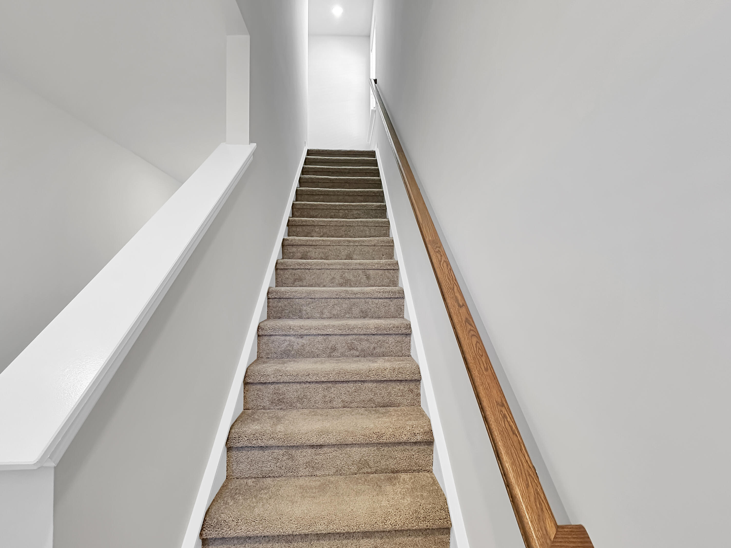 639 Culpepper Street Summerville, SC 29486 - Photo 10 of 28 334ade0e0da86a75bde6335dab97bcdccdadb8c7