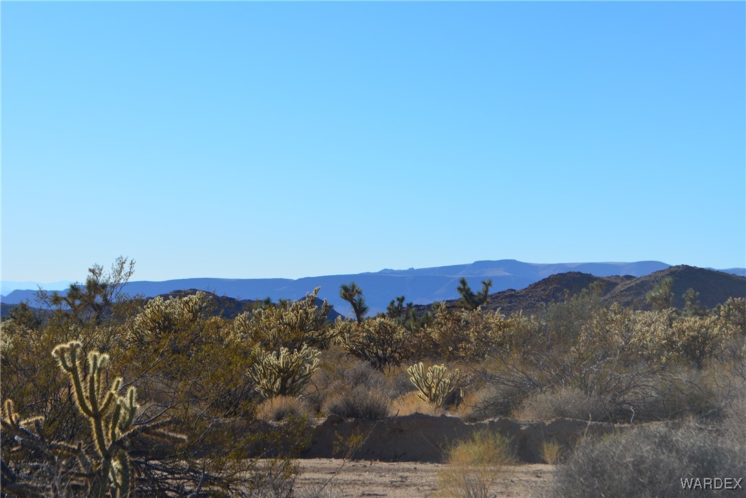 11900 Alan Road Yucca, AZ 86438 - Photo 19 of 99 Gallery Image 19