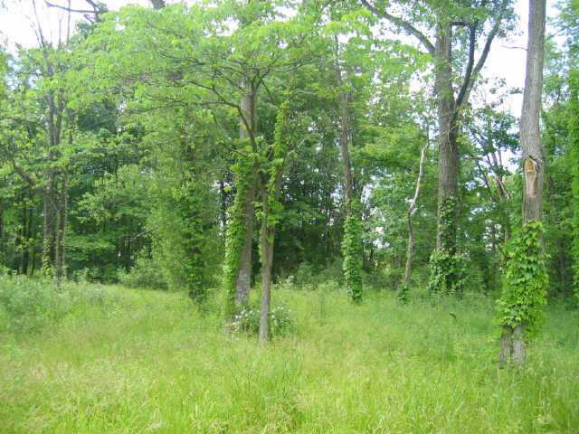 0 Corner Road, Unit LOT 9 Alexandria, OH 43001 - Photo 1 of 1 Gallery Image 1