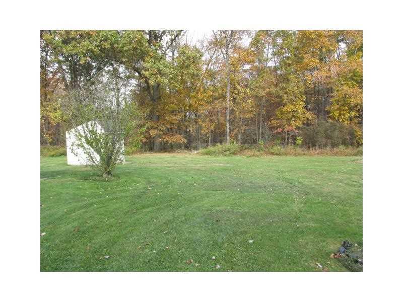 119 Birch Street Spring Church, PA 15686 - Photo 6 of 13 Yard/Garden.