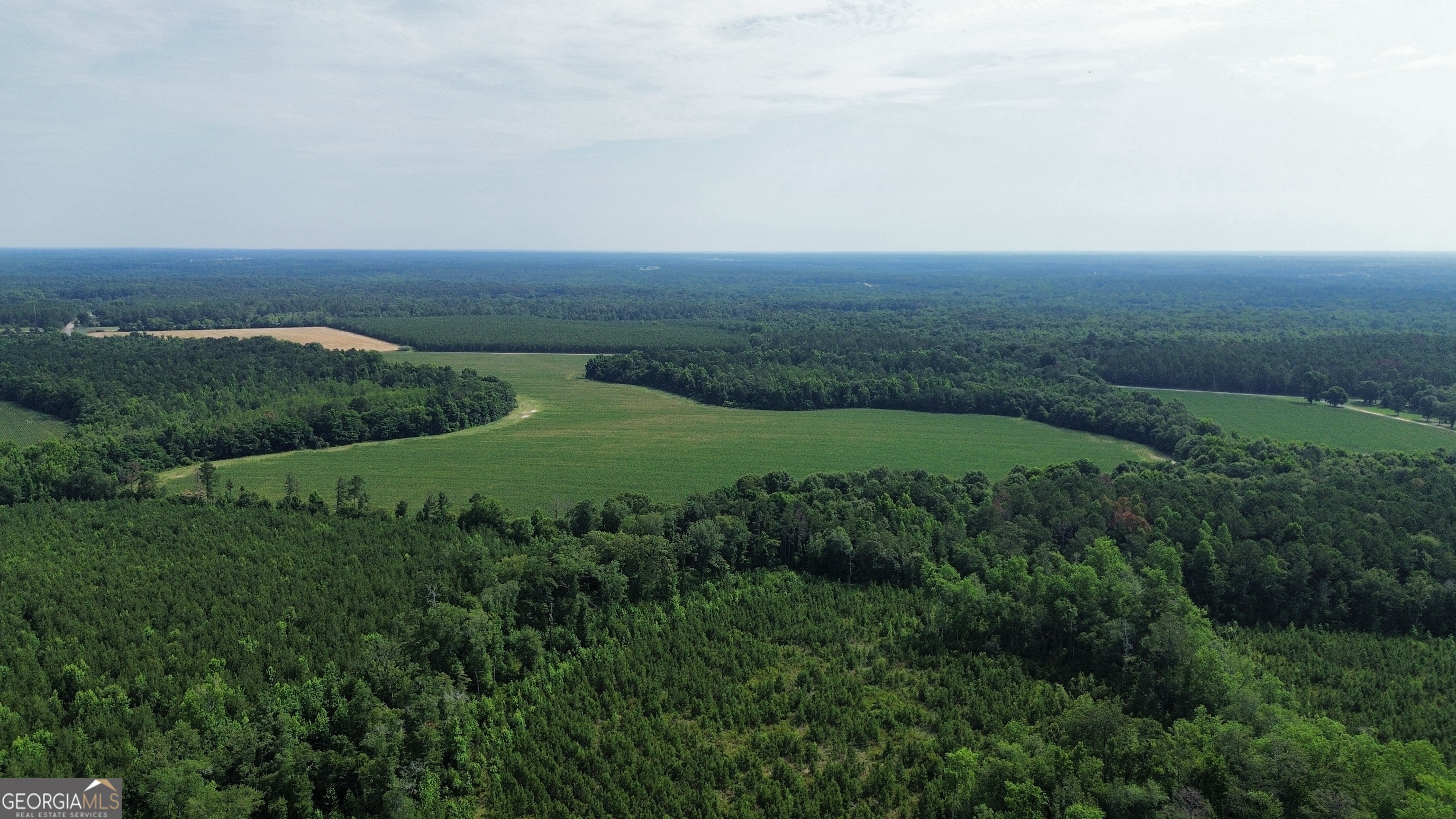 1665 Walke Dairy Road Dublin, GA 31021 - Photo 27 of 94