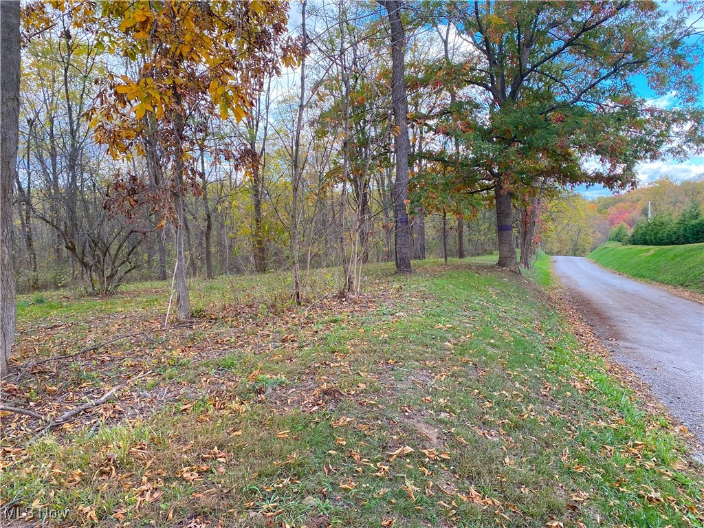 Toker Road Hopedale, OH 43976 - Photo 15 of 28 View of road
