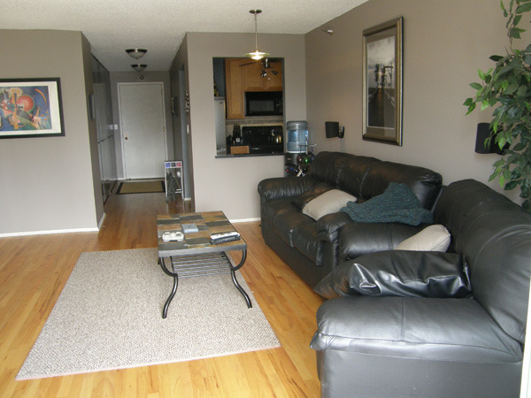 111 West Maple Street, Unit 1806 Chicago, IL 60610 - Photo 5 of 9