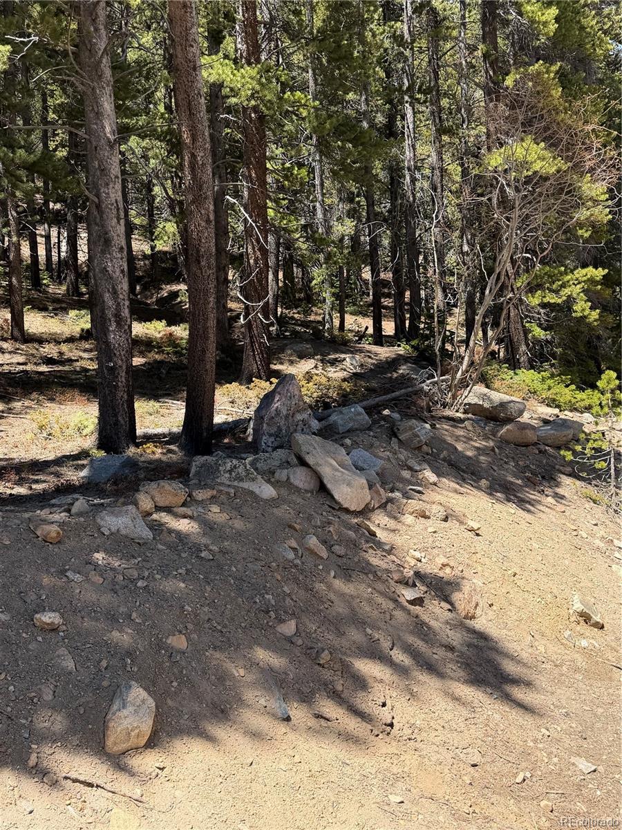 Lot 378 Alice Road Idaho Springs, CO 80452 - Photo 4 of 26 a view of street with trees