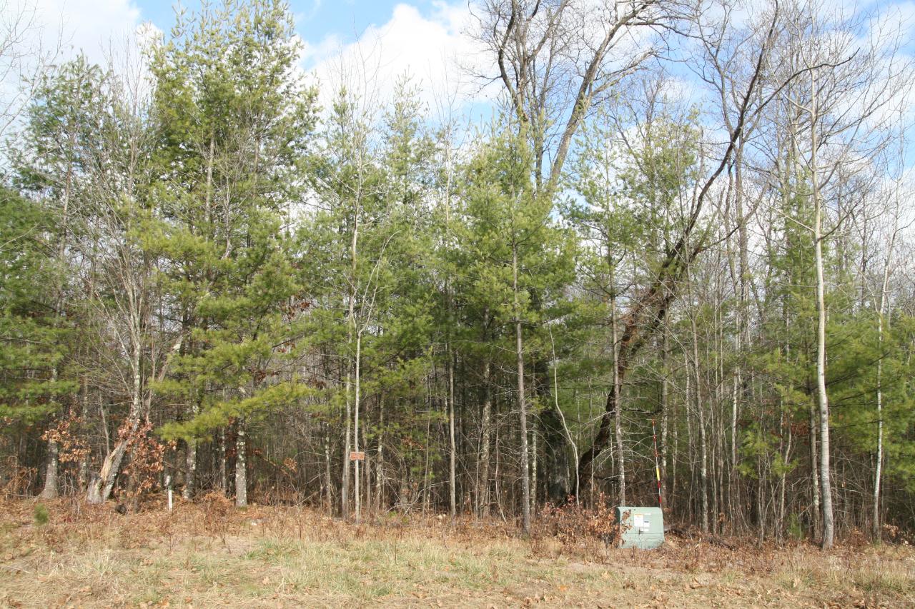 Lot 3 Packers Road Lake Tomahawk, WI 54539 - Photo 2 of 5 Gallery Image 2