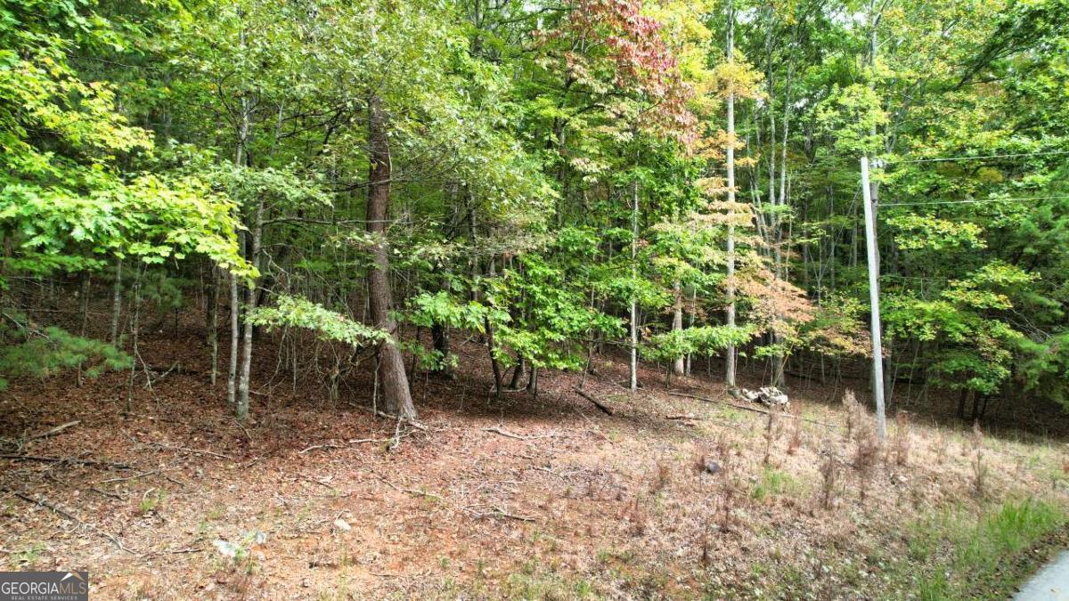 Lot32 Cold Spgs Road Morganton, GA 30560 - Photo 1 of 1 Gallery Image 1