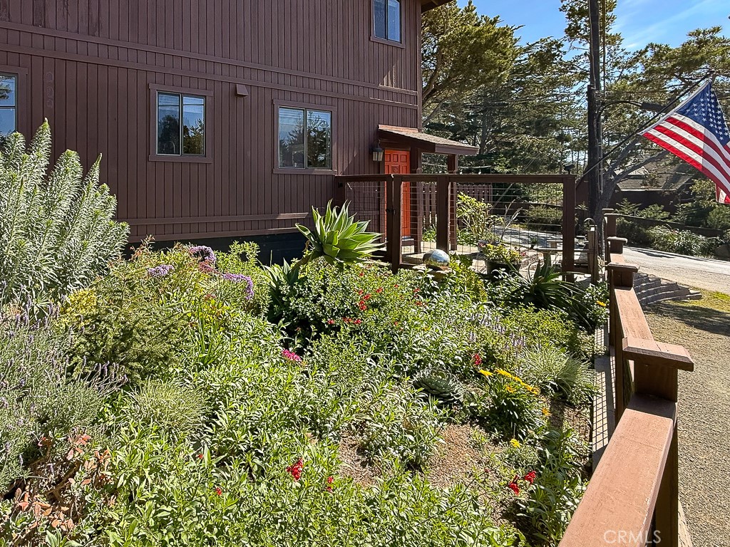 2298 Tipton Street Cambria, CA 93428 - Photo 53 of 54 a view of a backyard with plants