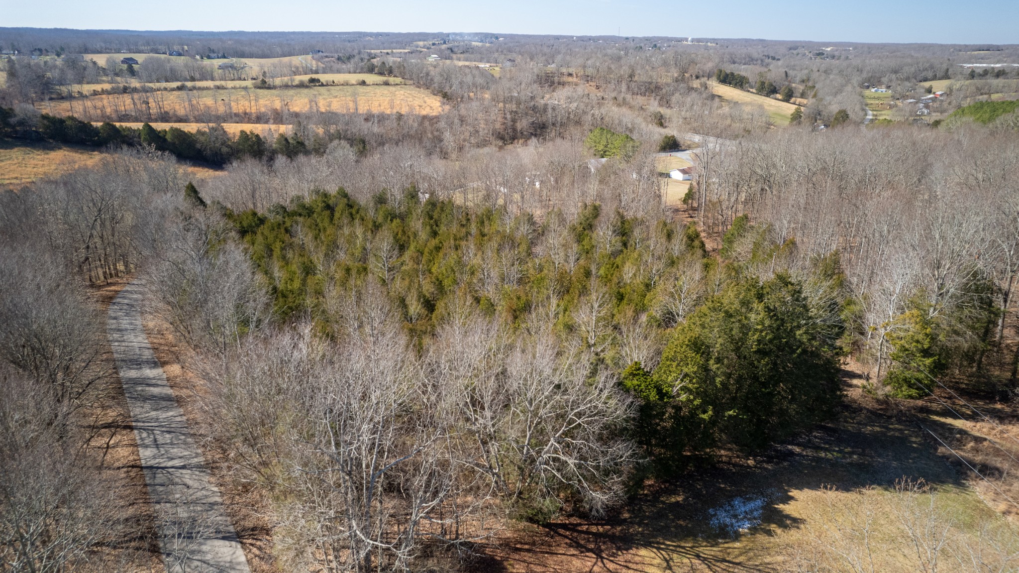 1069 Witcher Hollow Road Red Boiling Springs, TN 37150 - Photo 16 of 20