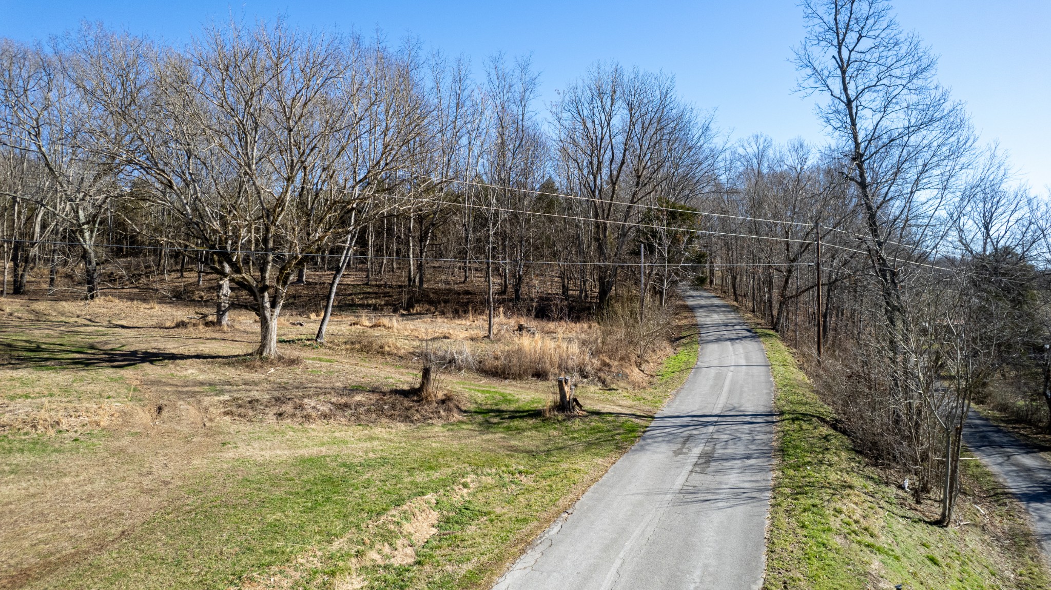 1069 Witcher Hollow Road Red Boiling Springs, TN 37150 - Photo 4 of 20 a view of yard