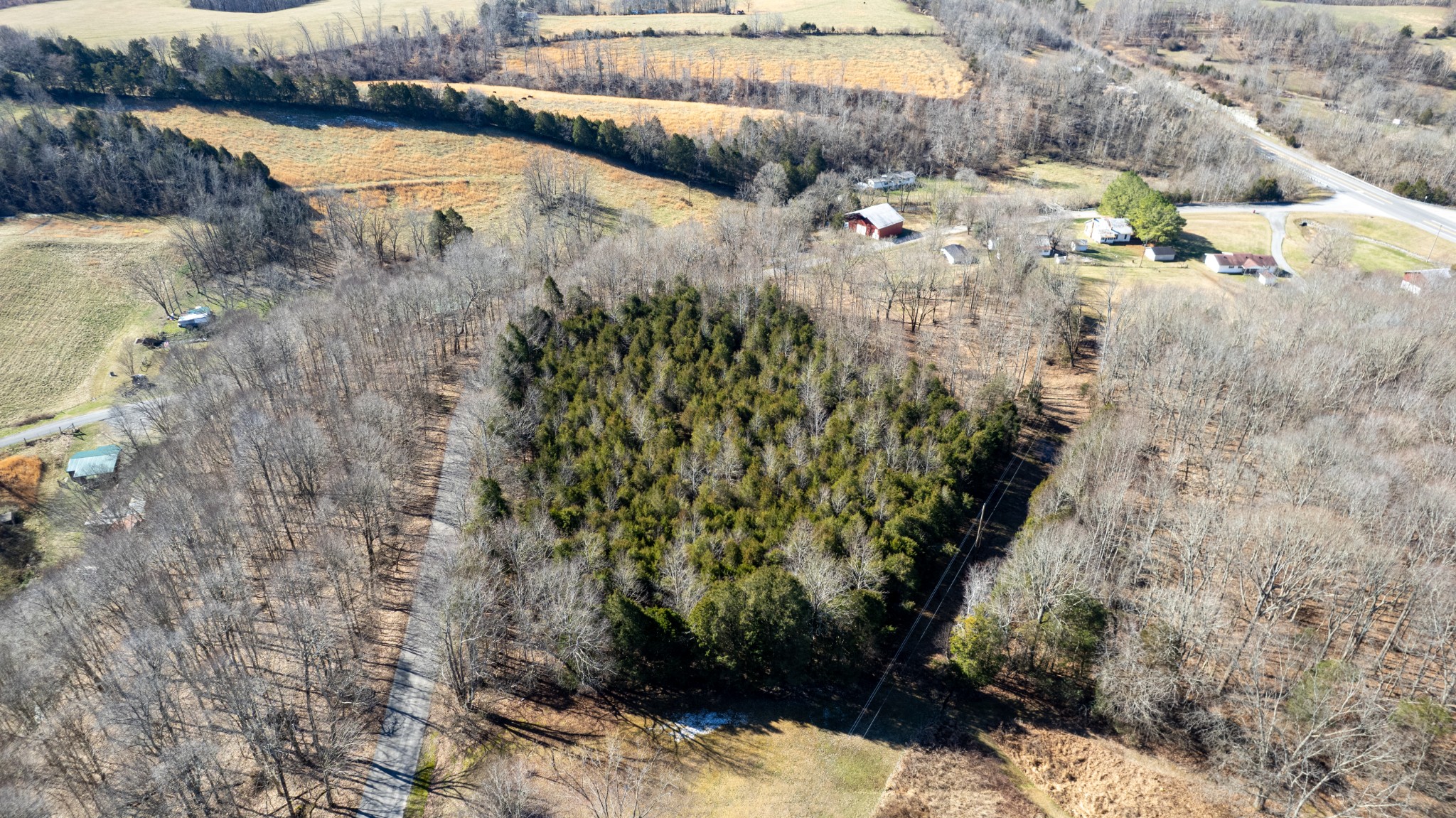 1069 Witcher Hollow Road Red Boiling Springs, TN 37150 - Photo 5 of 20 a view of lake