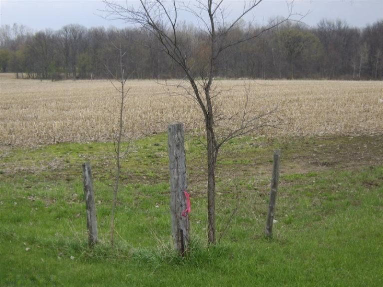 East State Road Coldwater, MI 49036 - Photo 2 of 2 Additional Photo