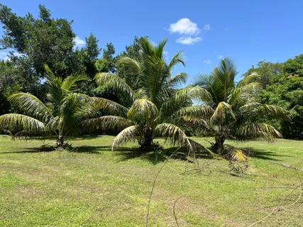 $650,000 | 16201 Southwest 170th Avenue, Miami, FL 33187